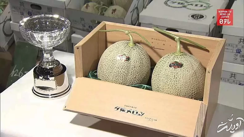 تصویر لاکچری ترین میوه جهان - خواص شگفت انگیز این میوه یک میلیارد تومانی!